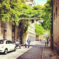 Property development consultancy
